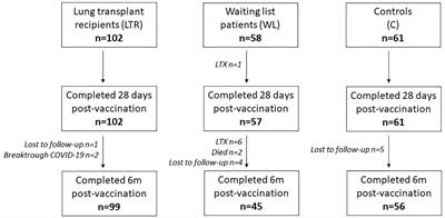 Humoral and cellular immune responses after COVID-19 vaccination of lung transplant recipients and patients on the waiting list: a 6-month follow-up